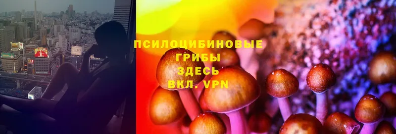 Псилоцибиновые грибы Magic Shrooms  Канск 